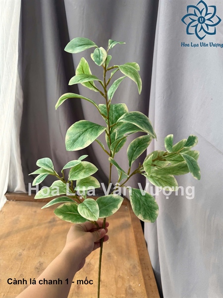 Cành lá chanh 1 - Mốc - Lá cành dài - Hoa Lụa Vân Vượng