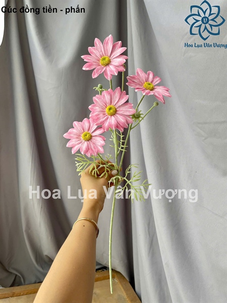 Cúc đồng tiền - phấn - Hoa cành dài - Hoa Lụa Vân Vượng