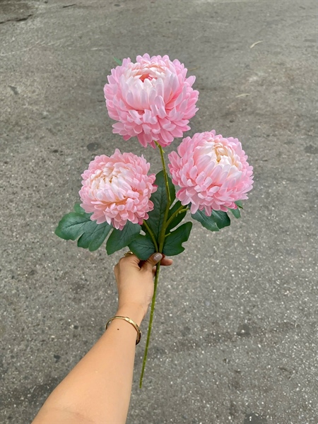 Cúc mẫu đơn 3b - phấn - Hoa cành dài - Hoa Lụa Vân Vượng