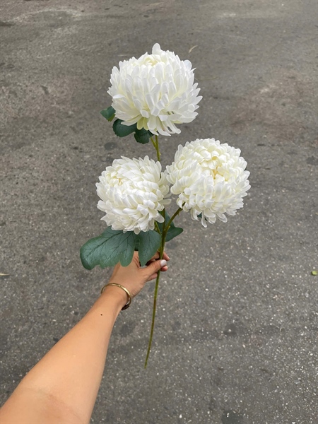 Cúc mẫu đơn 3b - trắng - Hoa cành dài - Hoa Lụa Vân Vượng