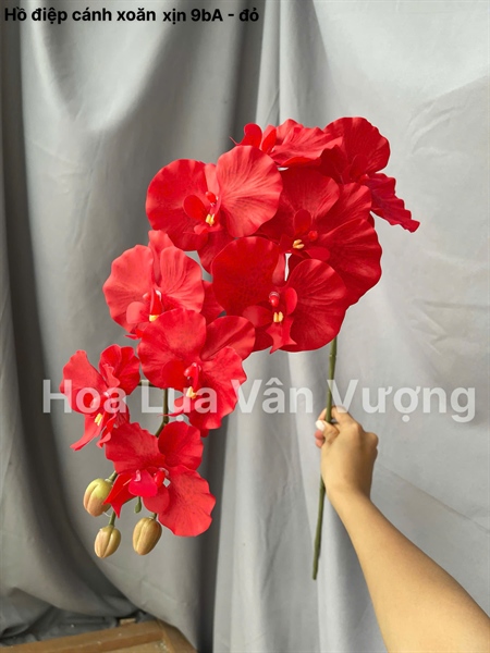 Hồ điệp cánh xoăn xịn 9b - đỏ - Hồ điệp, lan - Hoa Lụa Vân Vượng
