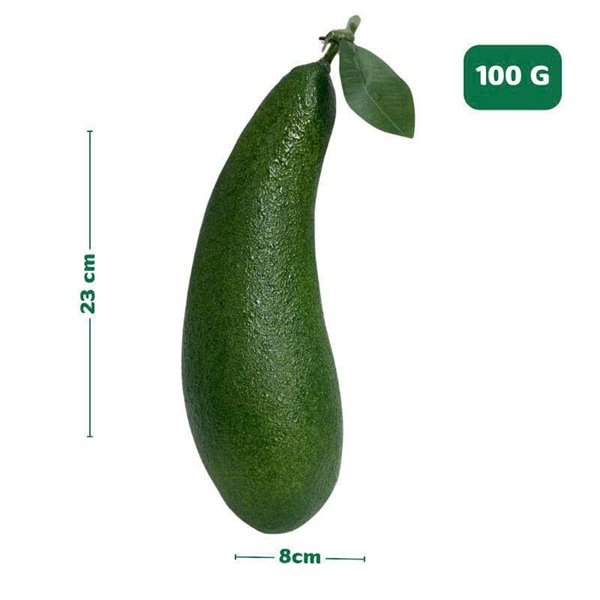 Bơ dài - Quả và dây quả - Hoa Lụa Vân Vượng