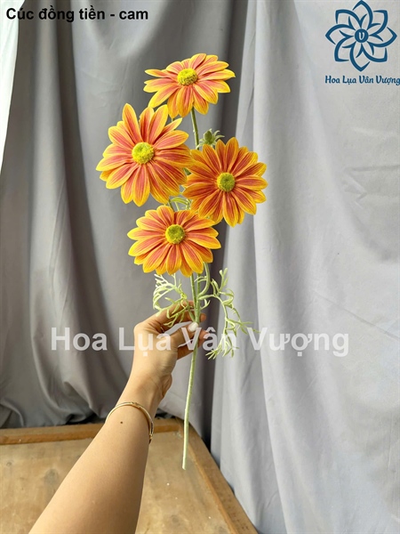 Cúc đồng tiền - cam - Hoa cành dài - Hoa Lụa Vân Vượng