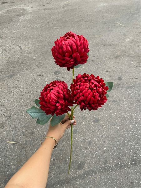 Cúc mẫu đơn 3b - đỏ - Hoa cành dài - Hoa Lụa Vân Vượng