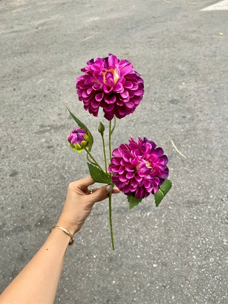 Thược dược 2b1n - tím đậm - Hoa cành dài - Hoa Lụa Vân Vượng