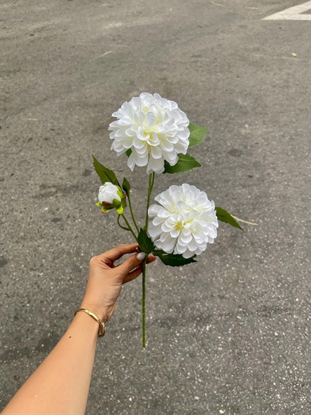Thược dược 2b1n - trắng - Hoa cành dài - Hoa Lụa Vân Vượng