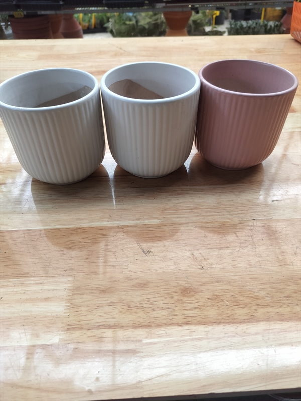 CHẬU TRỤ 11 KẺ TĂM (CAO 11CM x NGANG 11CM)