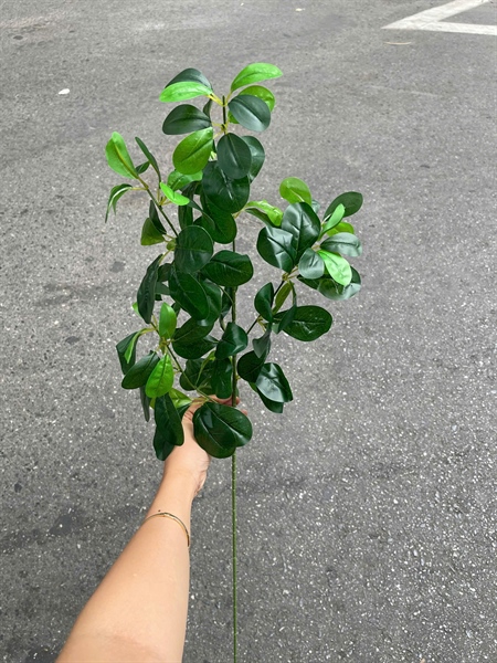 Cành lá chanh non - Lá cành dài - Hoa Lụa Vân Vượng