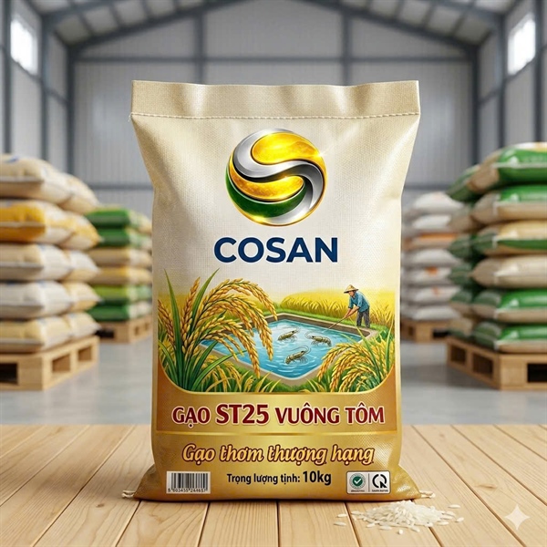 Gạo ST25 vuông tôm