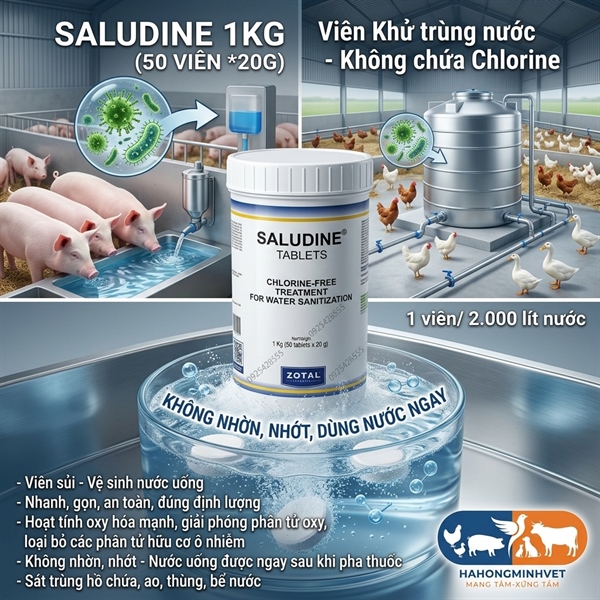 SALUDINE TABLET(50*1)- Sát trùng viên 1/2m3