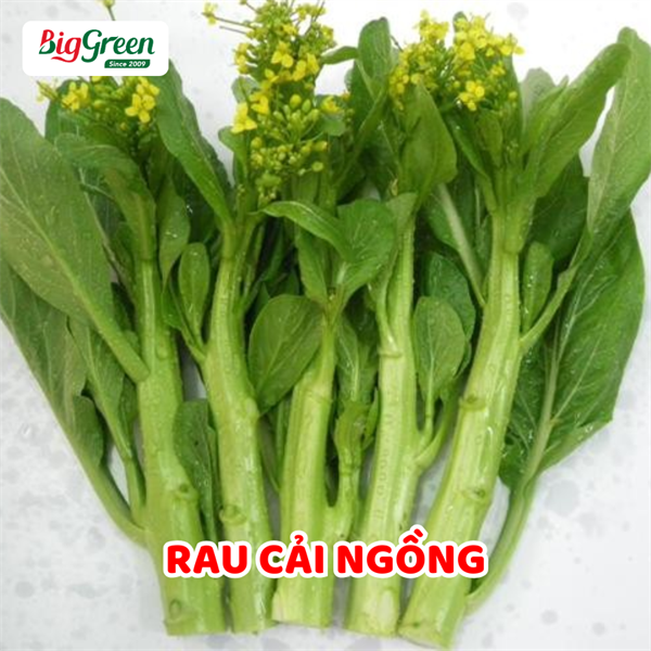 Rau Cải Ngồng
