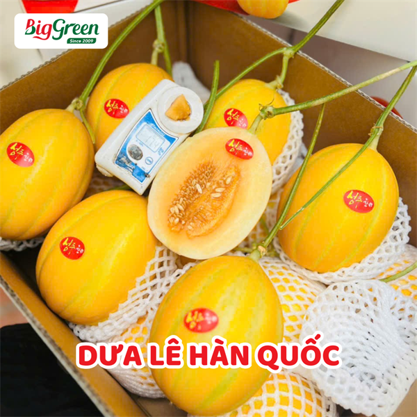 Dưa Lê Hàn Quốc