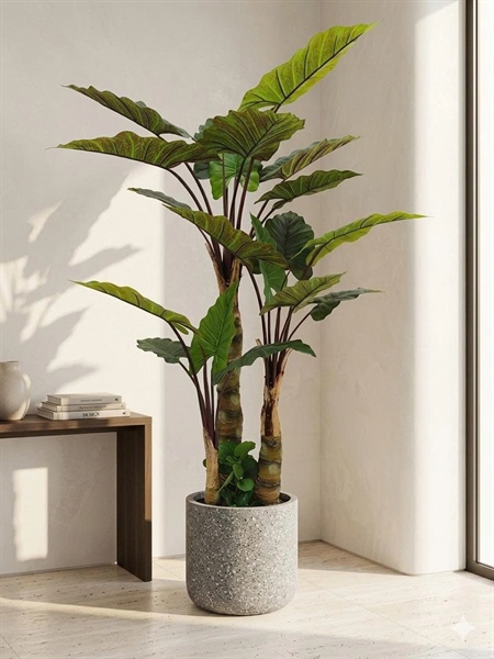 Cây khoai nước 1,8m - Cây - Hoa Lụa Vân Vượng