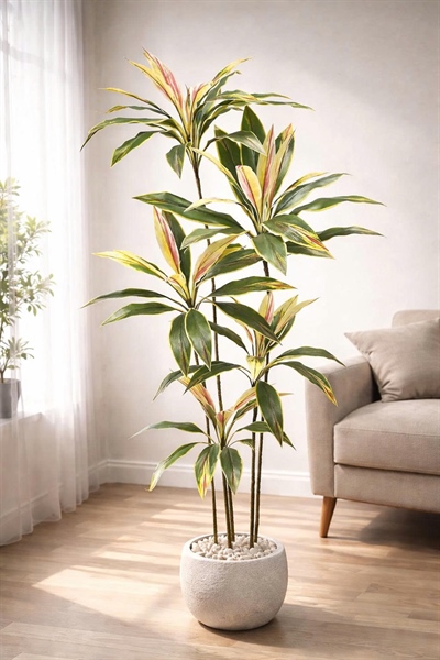 Cây ngũ phúc 1,7m - Cây - Hoa Lụa Vân Vượng