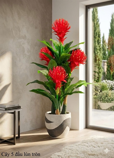 Cây 5 đầu lùn tròn - Cây - Hoa Lụa Vân Vượng