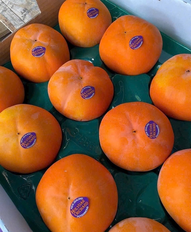 Hồng Giòn New Zealand