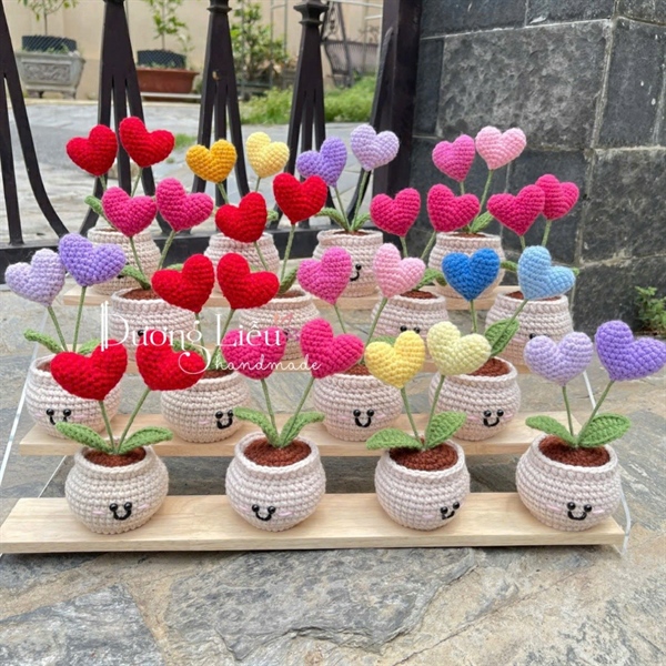 Chậu nhỏ - Hoa trái tim đôi