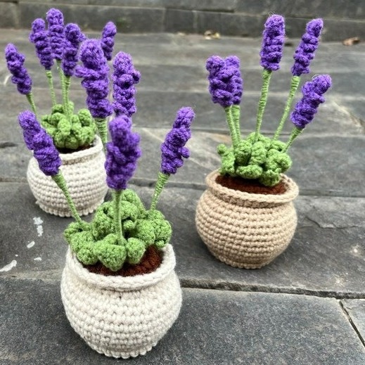Chậu nhỏ - Hoa Lavender