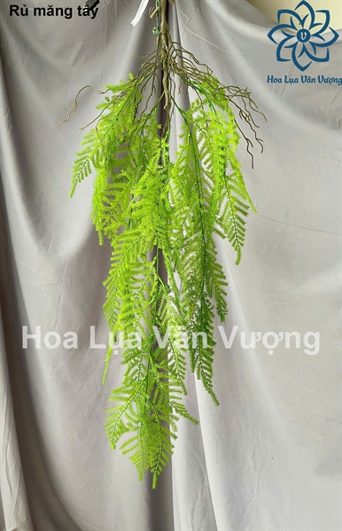 Rủ măng tây - Rủ - Hoa Lụa Vân Vượng