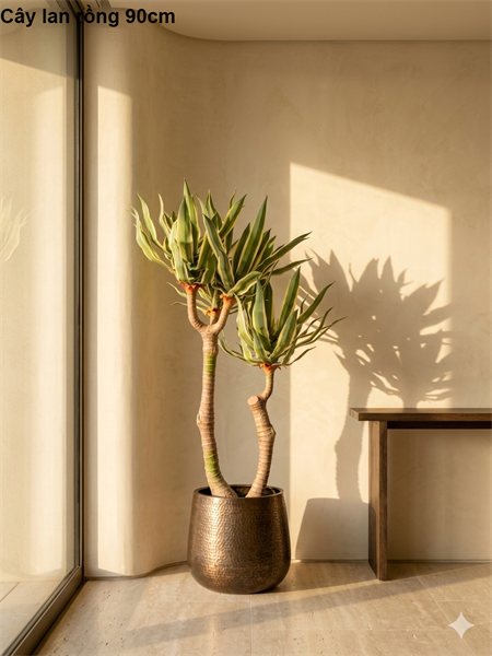 Cây lan rồng 90cm - Cây - Hoa Lụa Vân Vượng