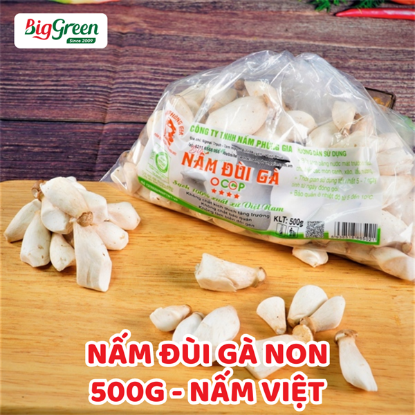 Nấm Đùi Gà Non 500G- Nấm Việt