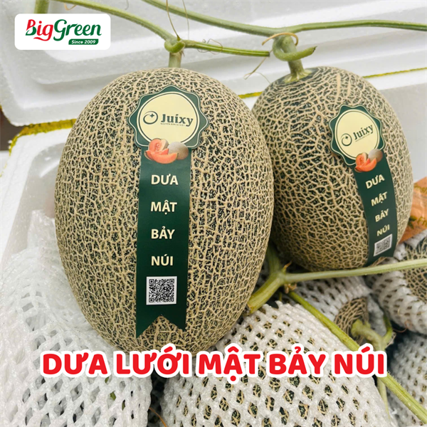 Dưa Lưới Mật Bảy Núi