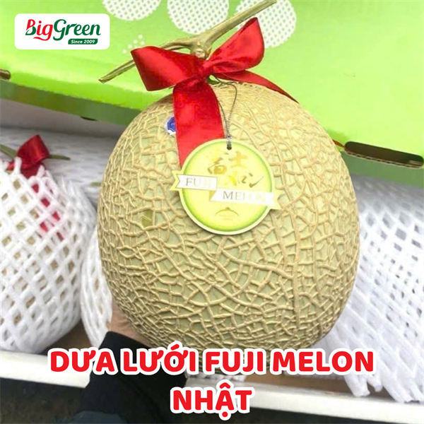 Dưa Lưới Fuji Melon-Nhật