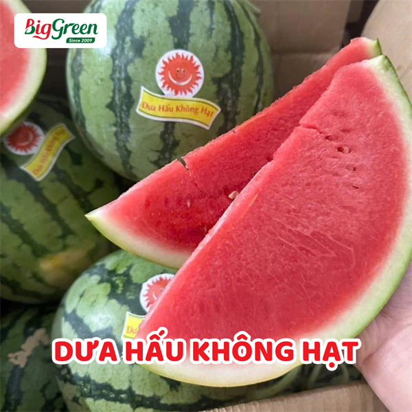 Dưa Hấu Không Hạt-Long An