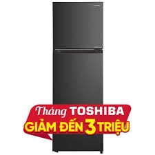 Tủ lạnh TOSHIBA RT349WE-PMV(68)