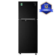 Tủ lạnh SAMSUNG RT22M4032BU