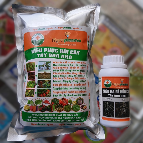 Combo 1kg Siêu Phục Hồi Cây + Siêu ra rễ Tây Ban Nha 200ml