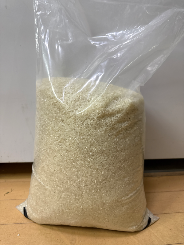 Japan rice ဆန် အချော gạo nhật ngon