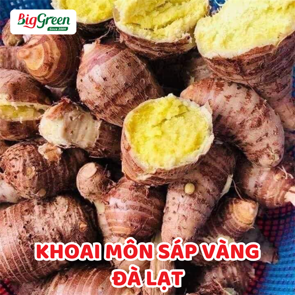 Khoai Môn Sáp Vàng Đà Lạt