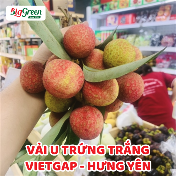 Vải U Trứng Trắng VietGap - Hưng Yên