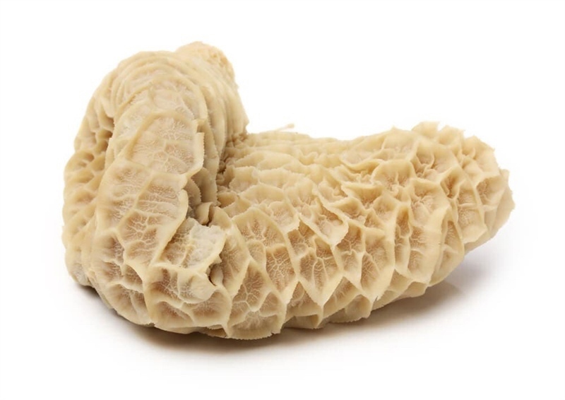Tổ ong bò / kg( trắng)