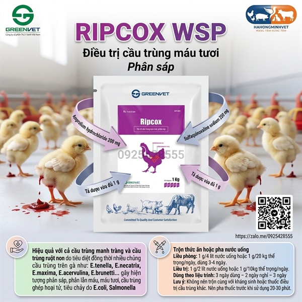 Ripcox WSP (10x1)Cầu trùng