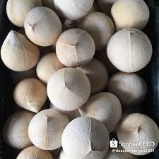 Dừa xiêm trọc