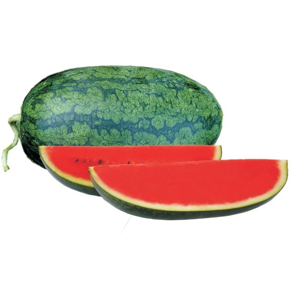 Dưa hấu dài long watermelon