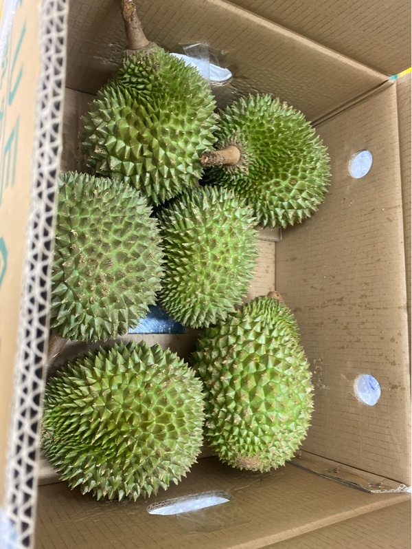 Sầu Riêng Musangking Thái Kg