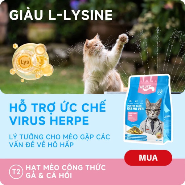 Hạt thức ăn cho mèo MrVet T2