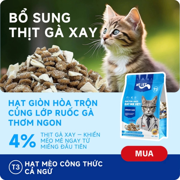 Hạt thức ăn cho mèo MrVet T3