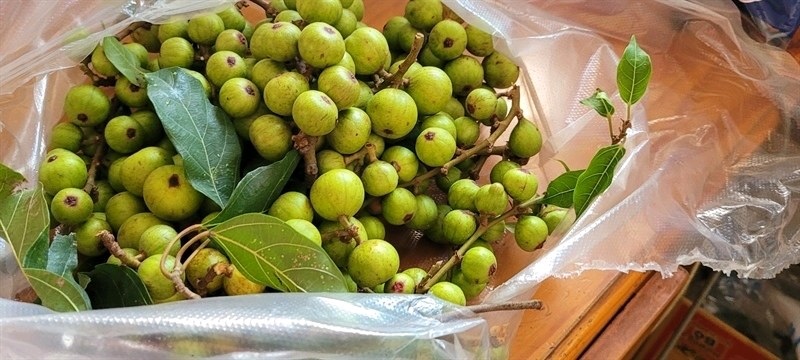 Thực phẩm bổ sung - Nước uống Pororo hương vị đào (Chai)