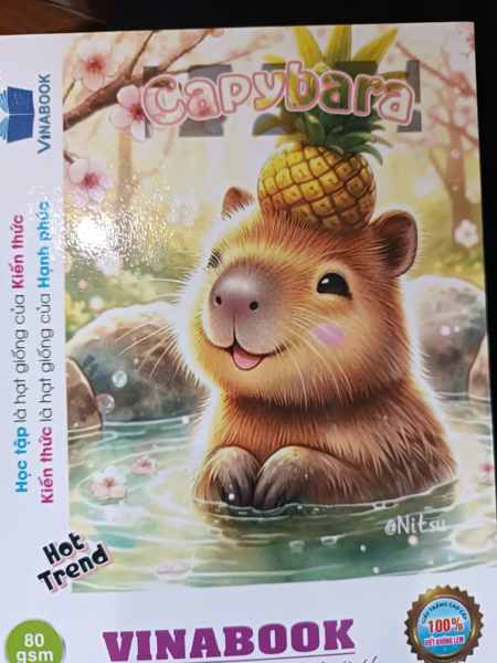 Vinabook - Tập trắng 5 ôli (96pcs)