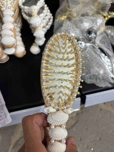 Lược vỏ sò lớn.