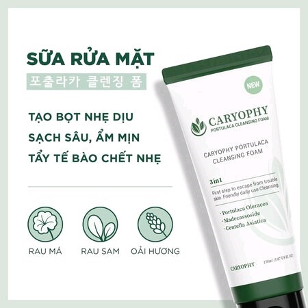 Sữa rửa mặt Caryophy Portulaca Cleansing Foam ngăn ngừa mụn giảm thâm 150ml