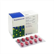 SCANNEURON H/100V