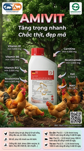 Amivit -1 Lít (chai)