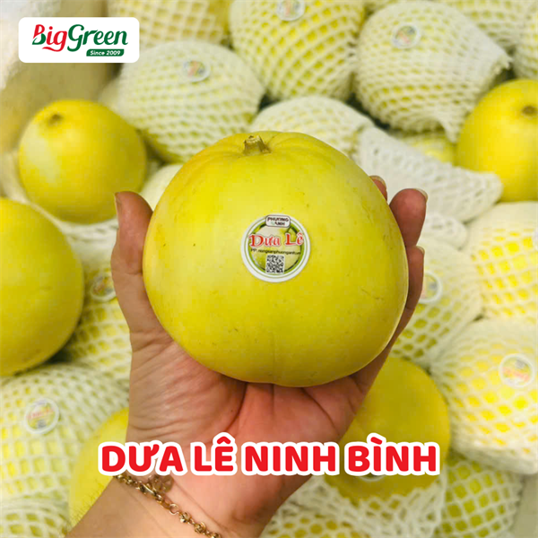 Dưa Lê Ninh Bình