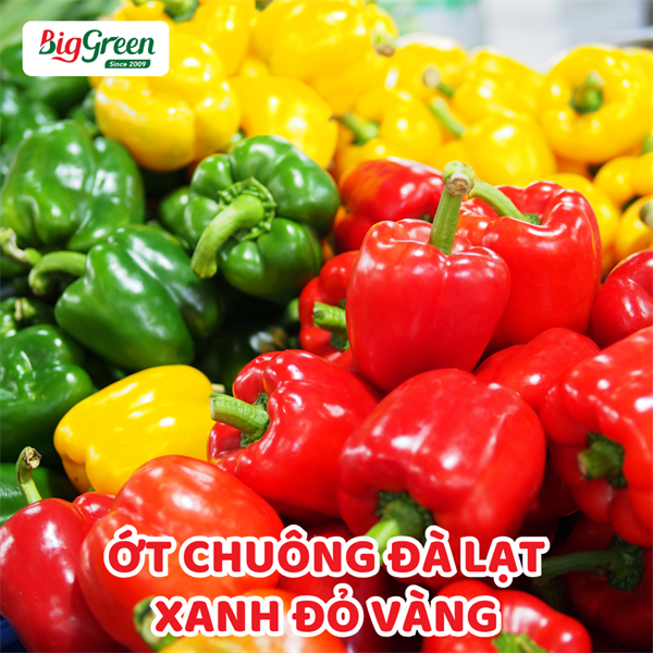 Ớt Xanh Đỏ Vàng - Đà Lạt