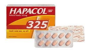 HAPACOL 325 H100V